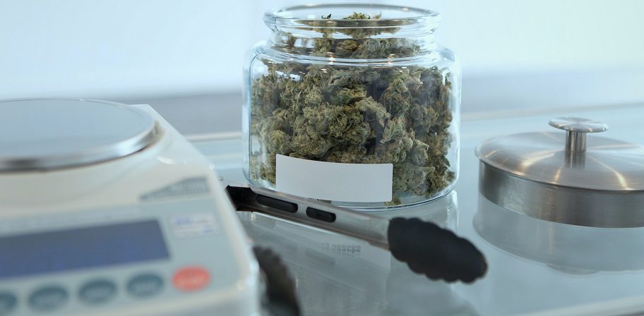 Top 7 Amazing Weed Delivery Companies in Burnaby That You Should Try